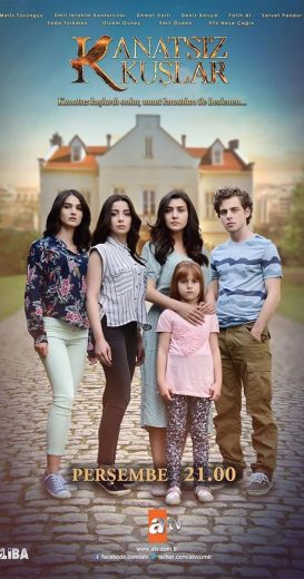 مسلسل طيور بلا اجنحة الحلقة 14 الرابعة عشر مترجمة اون لاين