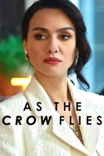 مسلسل الطموح الاعمى الموسم الثالث مترجم