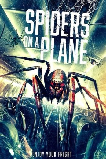 فيلم Spiders on a Plane 2024 مترجم اون لاين