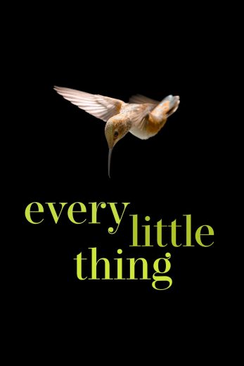 فيلم Every Little Thing 2024 مترجم اون لاين