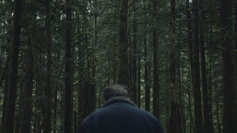 فيلم To Kill a Wolf 2024 مترجم اون لاين