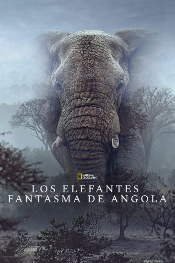 فيلم Ghost Elephants 2026 مترجم اون لاين