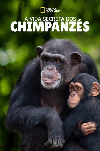 مسلسل Meet the Chimps الموسم الاول مترجم