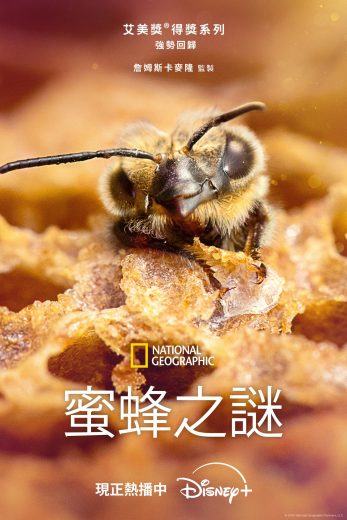 مسلسل Secrets of the Bees الموسم الاول مترجم