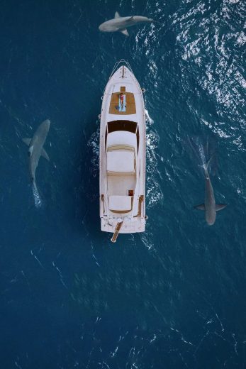 فيلم Above and Below 2026 مترجم اون لاين