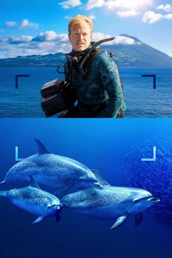 فيلم Dolphins Up Close with Bertie Gregory 2025 مترجم اون لاين