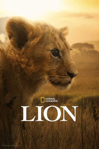 مسلسل Lion الموسم الاول مترجم