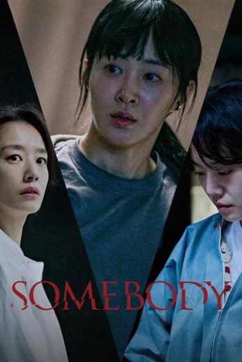 فيلم Somebody 2025 مترجم اون لاين