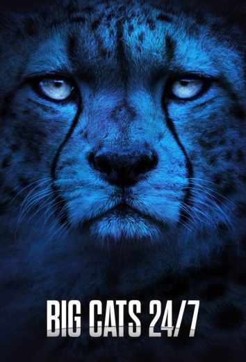 مسلسل Big Cats 24/7 الموسم الثاني مترجم